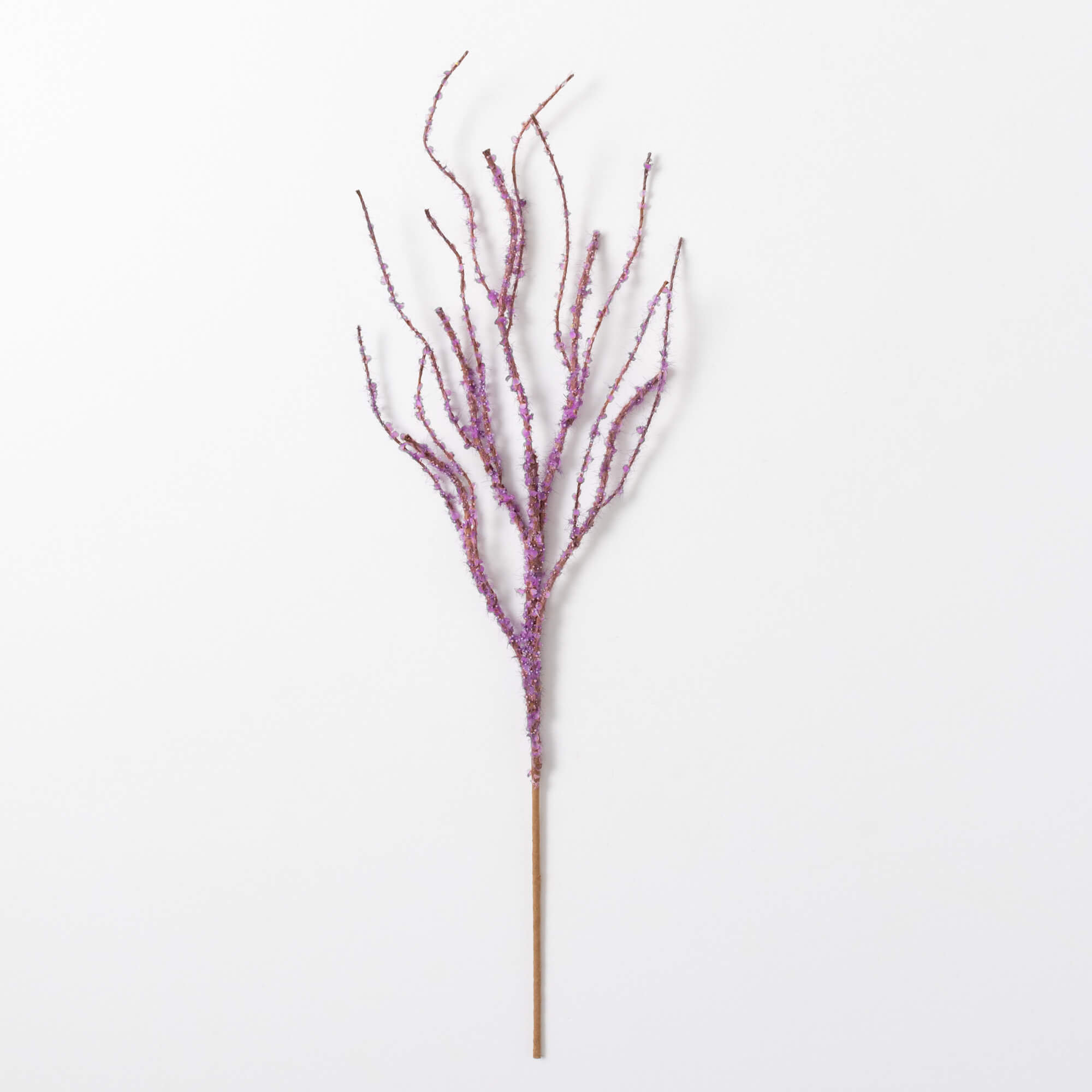 TWIG BRANCH