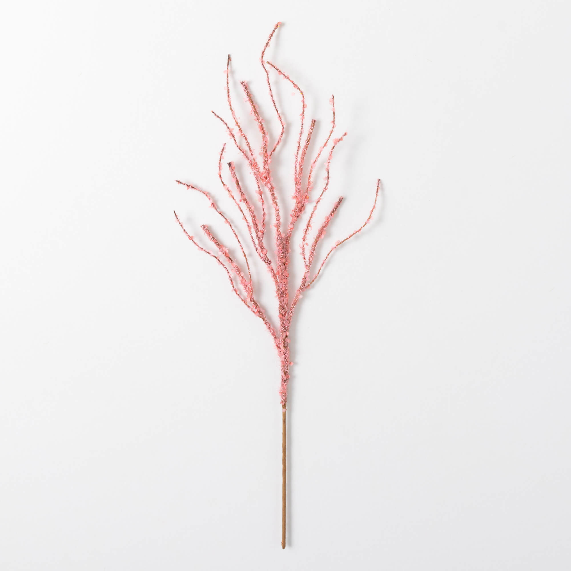 TWIG BRANCH
