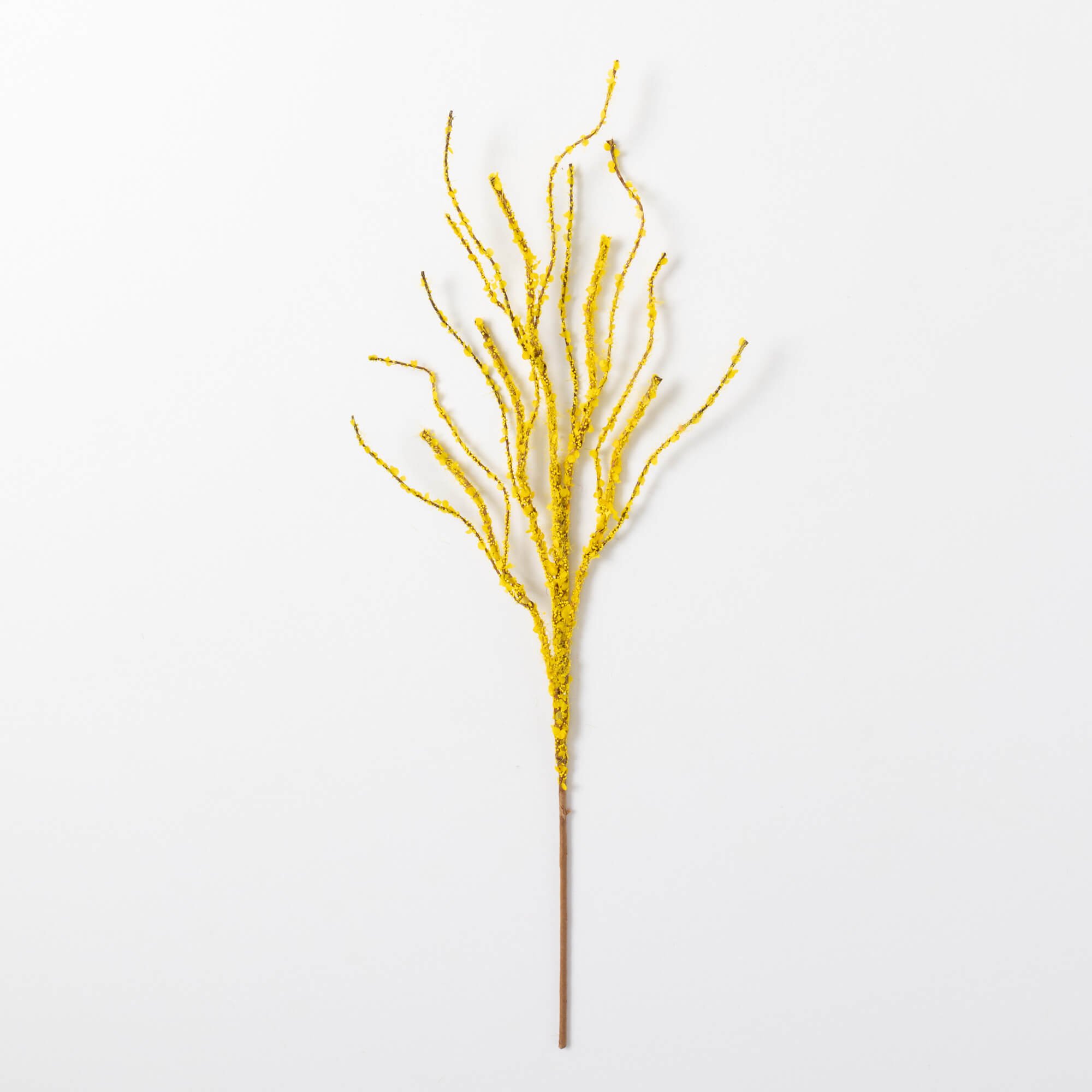 TWIG BRANCH