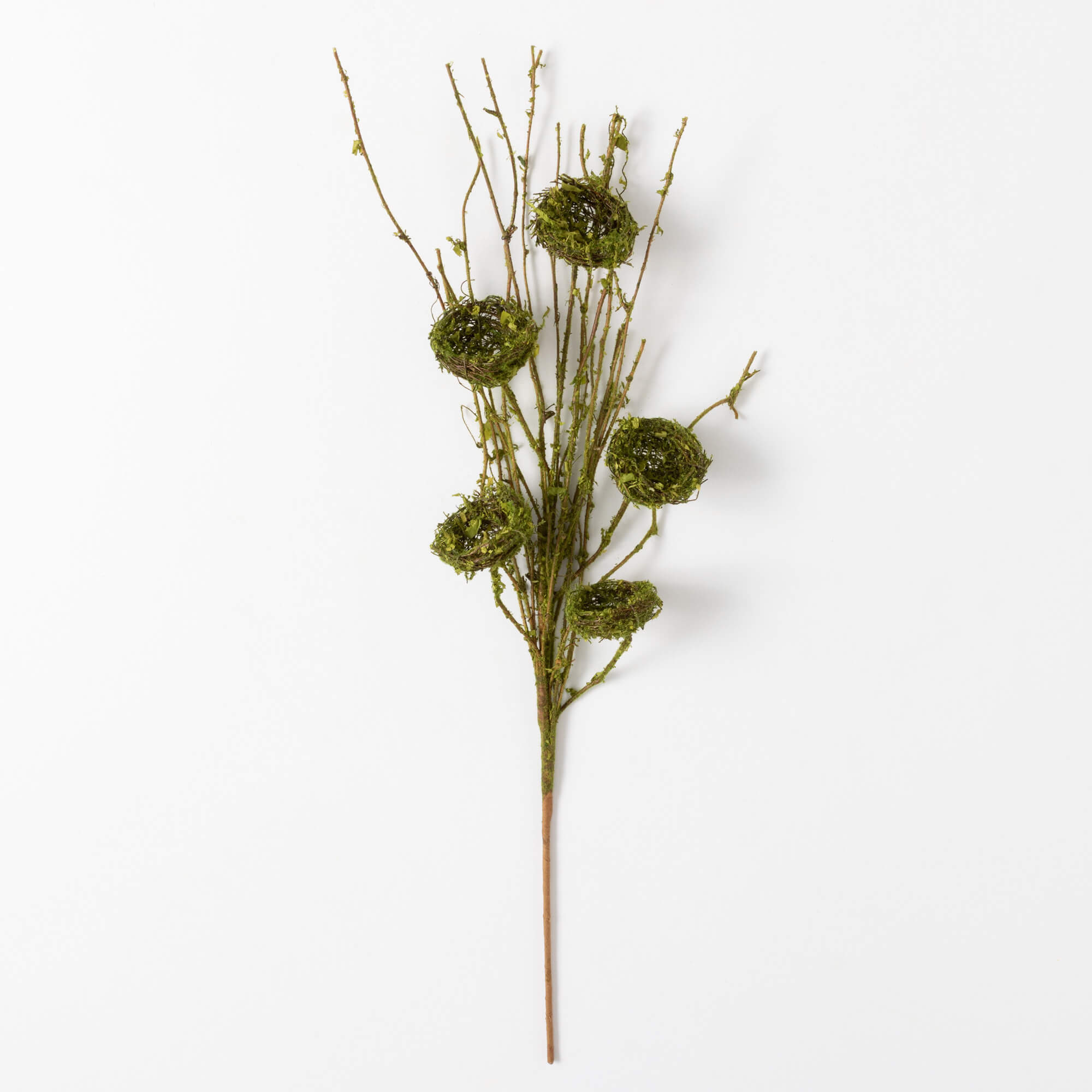 MOSSY NEST SPRAY