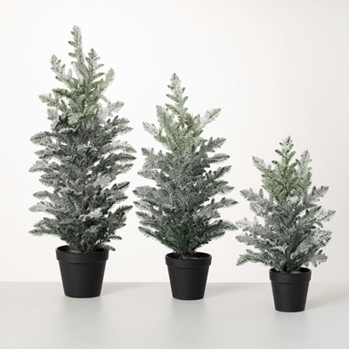 POTTED SNOWY PINE TREE SET 3